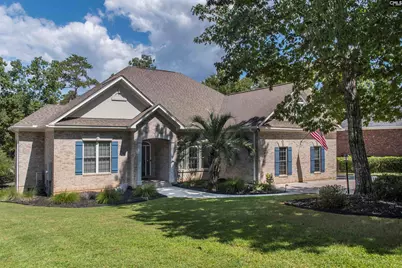 313 Bent Oak Drive, Chapin, SC 29036 - Photo 1