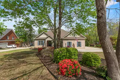 313 Bent Oak Drive, Chapin, SC 29036 - Photo 5