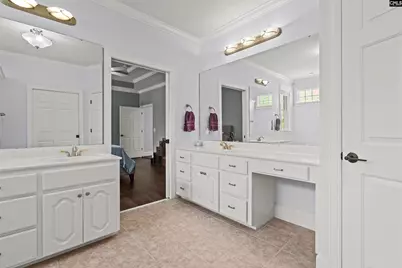 313 Bent Oak Drive, Chapin, SC 29036 - Photo 21