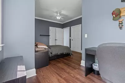 313 Bent Oak Drive, Chapin, SC 29036 - Photo 43