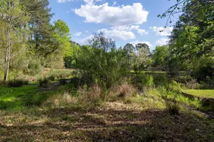 417 White Falls Dr, Columbia, SC 29212 - Photo 41