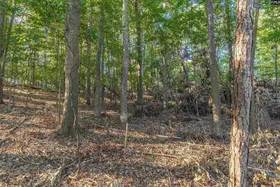 118 Lake Summit Drive, Chapin, SC 29036 - Photo 9