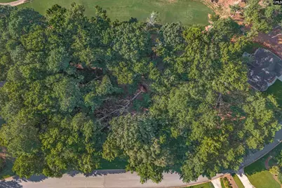 118 Lake Summit Drive, Chapin, SC 29036 - Photo 5