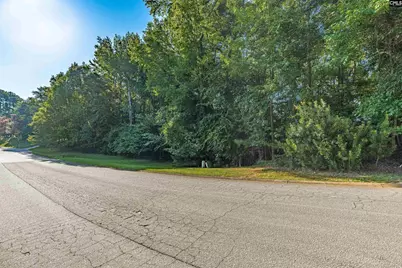 118 Lake Summit Drive, Chapin, SC 29036 - Photo 11