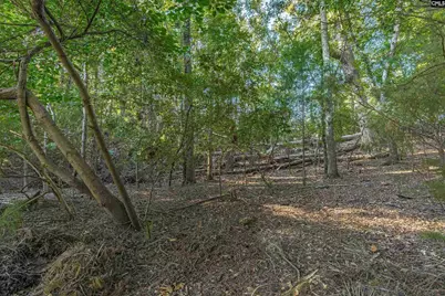 118 Lake Summit Drive, Chapin, SC 29036 - Photo 7