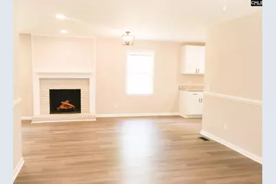 3345 Hill Springs Drive, Lexington, SC 29073 - Photo 11