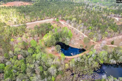 0 Courtney Road, Trenton, SC 29847 - Photo 15