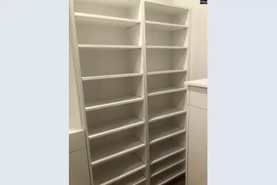 437 Amicks Ferry Road, Chapin, SC 29036 - Photo 11