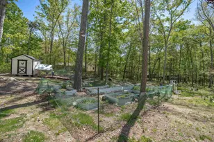 437 Amicks Ferry Rd, Chapin, SC 29036 - Photo 41