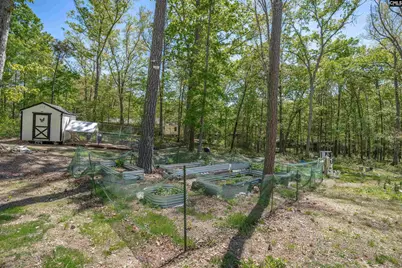 437 Amicks Ferry Road, Chapin, SC 29036 - Photo 39