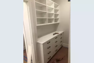 437 Amicks Ferry Road, Chapin, SC 29036 - Photo 9