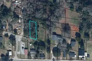 Dyson St, Manning, SC 29102 - Photo 1