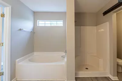 204 Stoney Pointe Drive, Chapin, SC 29036 - Photo 21