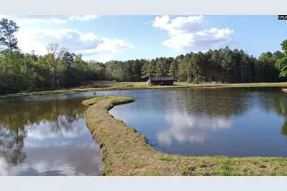 4473 Summerland Highway, Leesville, SC 29070 - Photo 5