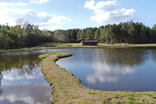 4473 Summerland Hwy, Leesville, SC 29070 - Photo 5