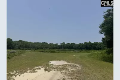 Mossborough Drive, West Columbia, SC 29073 - Photo 3