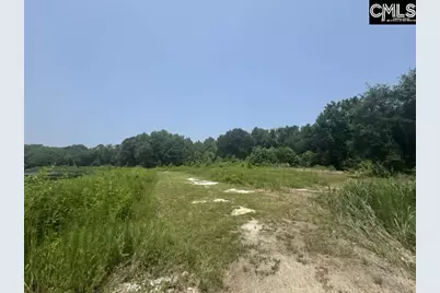 Mossborough Drive, West Columbia, SC 29073 - Photo 9