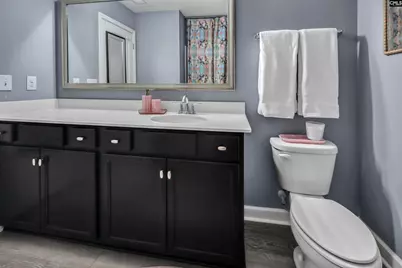 216 Harbor Vista Circle, Lexington, SC 29072 - Photo 49