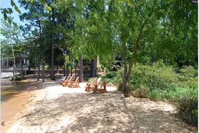 216 Harbor Vista Circle, Lexington, SC 29072 - Photo 59