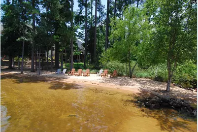 216 Harbor Vista Circle, Lexington, SC 29072 - Photo 61