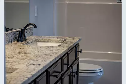 2017 Shallow Bluff Court, Lexington, SC 29072 - Photo 37