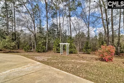 100 Sandy Run Court, Sandy Run, SC 29053 - Photo 19