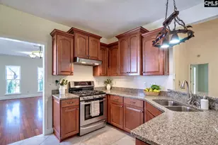 133 Whiteford Ct, Lexington, SC 29072 - Photo 21