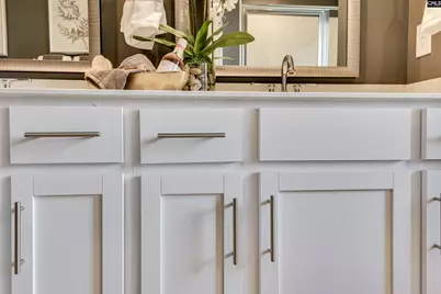 250 Summer Orchard Drive, Lexington, SC 29072 - Photo 37