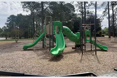 111 Holliday Road, Columbia, SC 29223 - Photo 33