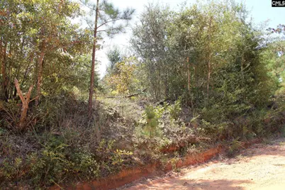 Poinsettia Road, Wagener, SC 29164 - Photo 11