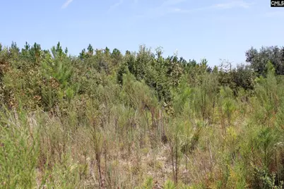 Poinsettia Road, Wagener, SC 29164 - Photo 7