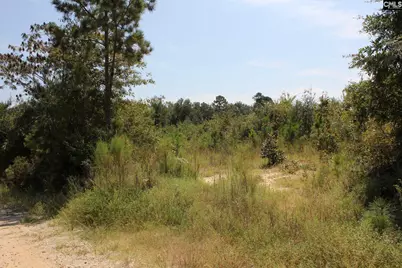 Poinsettia Road, Wagener, SC 29164 - Photo 9