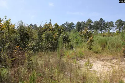 Poinsettia Road, Wagener, SC 29164 - Photo 21