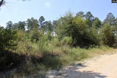 Poinsettia Road, Wagener, SC 29164 - Photo 29