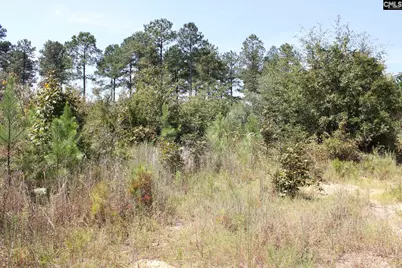 Poinsettia Road, Wagener, SC 29164 - Photo 27