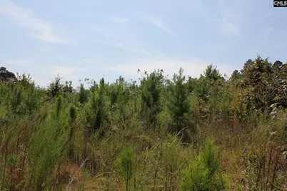 Poinsettia Road, Wagener, SC 29164 - Photo 19