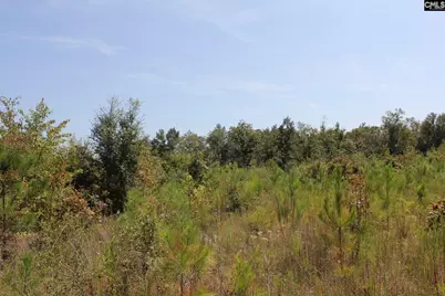 Poinsettia Road, Wagener, SC 29164 - Photo 17