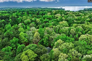 130 Orchard Pl Ct, Lexington, SC 29072 - Photo 75