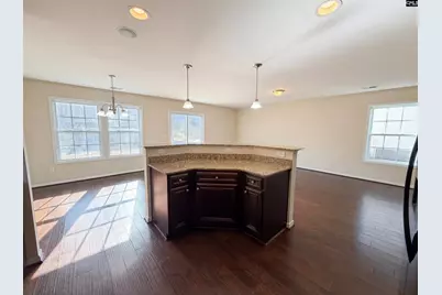 254 Sorrel Tree Drive, Columbia, SC 29223 - Photo 7