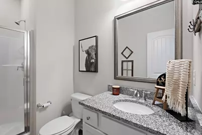 270 Honey Hill Way, Blythewood, SC 29016 - Photo 5