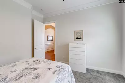 717 Carolina Aster, Blythewood, SC 29016 - Photo 25