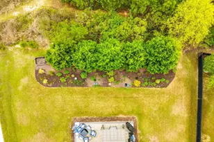 717 Carolina Aster, Blythewood, SC 29016 - Photo 39