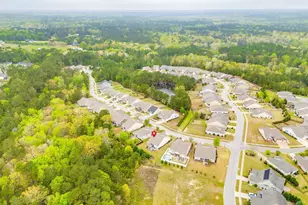717 Carolina Aster, Blythewood, SC 29016 - Photo 41