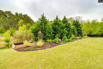 717 Carolina Aster, Blythewood, SC 29016 - Photo 33