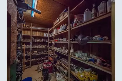 220 Roddy Dairy Lane, Winnsboro, SC 29180 - Photo 47