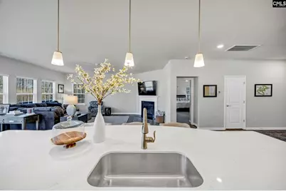 409 Layup Circle, Elgin, SC 29045 - Photo 11