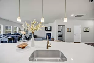 409 Layup Cir, Elgin, SC 29045 - Photo 11