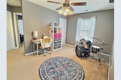 380 Eagle Pointe Drive, Chapin, SC 29036 - Photo 17