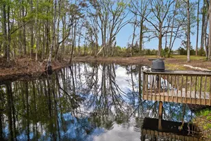 3643 Char-Augusta Rd, Bamberg, SC 29003 - Photo 35