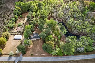 3643 Char-Augusta Rd, Bamberg, SC 29003 - Photo 7